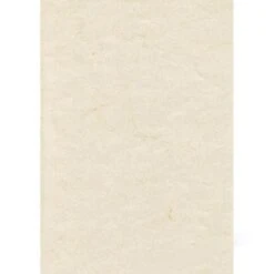 Zanders Elefantenhaut Office Weiß A4 190g/qm