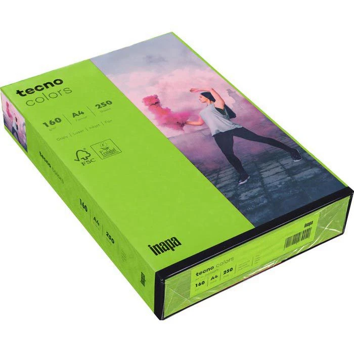 Inapa Tecno Colors, 2100011374, Kopierpapier Intensivgrün, A4, 160g/qm, 250 Blatt, Coloured Paper