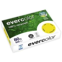 Clairefontaine Kopierpapier Evercolor, 2100005031, A4, Recycling, 80g/qm, Gelb, 500 Blatt