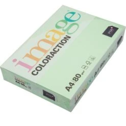 Antalis Coloraction Forest A4 80g Hellgrün Papier